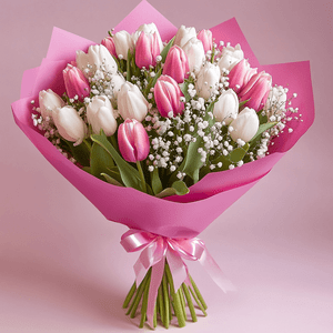 Pink and White Tulip
