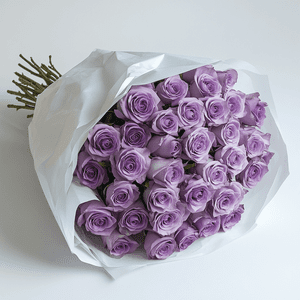Premium Purple Roses