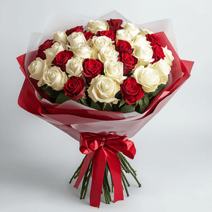 Red and White Dream