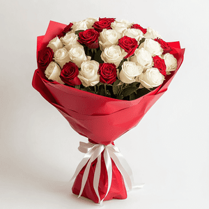 Red and White Dream