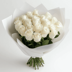 Premium White Roses