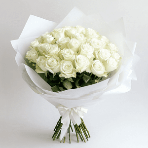 Premium White Roses